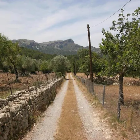 Guillo Pollença